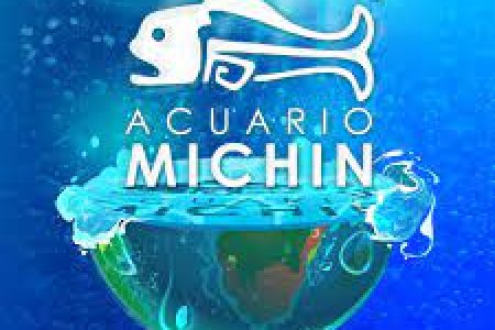 Acuario Michin